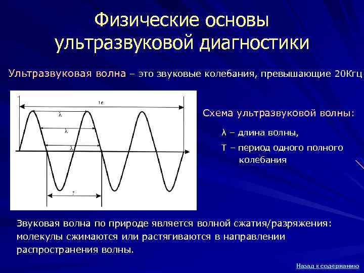 Физические основы ультразвуковой диагностики Ультразвуковая волна – это звуковые колебания, превышающие 20 Кгц Схема