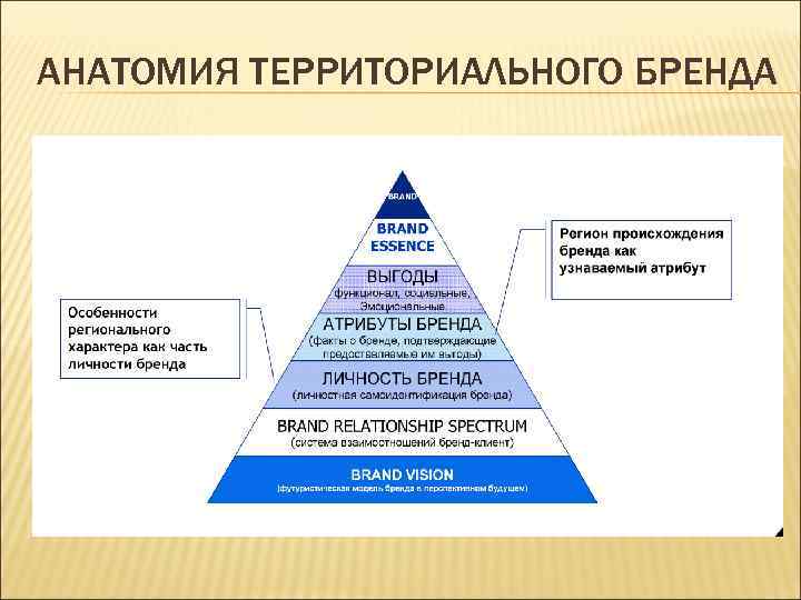 АНАТОМИЯ ТЕРРИТОРИАЛЬНОГО БРЕНДА 