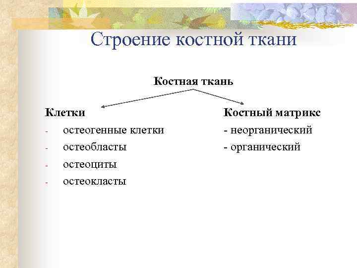 Строение костной ткани Костная ткань Клетки остеогенные клетки остеобласты остеоциты остеокласты Костный матрикс -