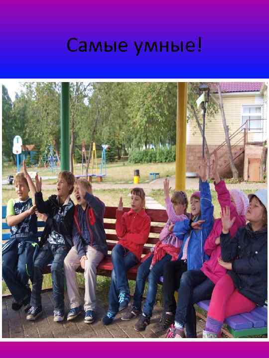 Самые умные! 