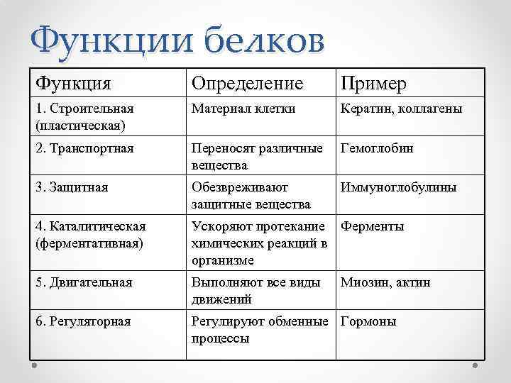 Название белков. Функции белков 10 класс биология. Назовите основные функции белков. Биологические функции белков таблица. Биологическая функция белков и их характеристика.