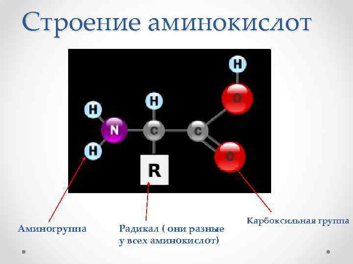 Строение аминокислоты схема