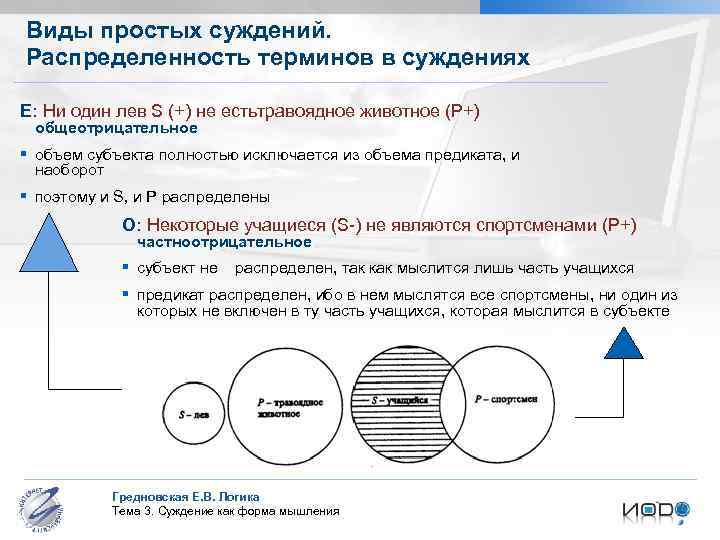 Виды простых суждений. Распределенность терминов в суждениях Е: Ни один лев S (+) не
