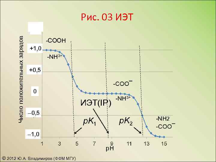 Рис. 03 ИЭТ Число положительных зарядов – 1, 0 -COOH +1, 0 -NH 3+