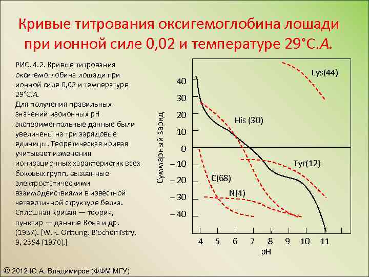 Кривые титрования оксигемоглобина лошади при ионной силе 0, 02 и температуре 29°С. А. ©
