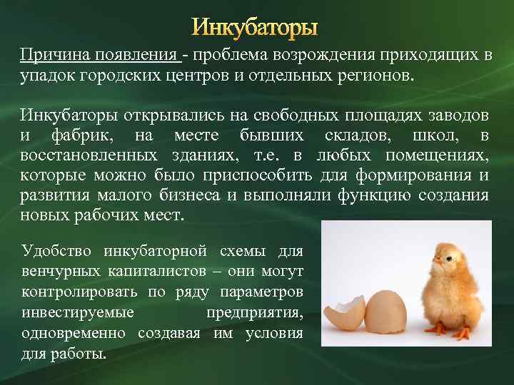 Инкубаторы Причина появления - проблема возрождения приходящих в упадок городских центров и отдельных регионов.