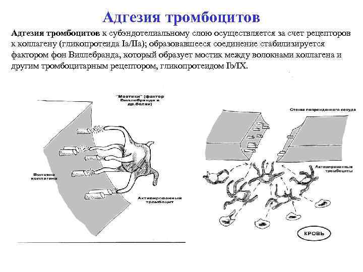 Схема агрегации тромбоцитов