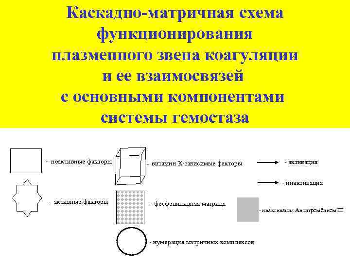 Изоляция рабочего поля матричные системы презентация