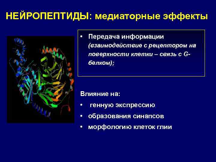 НЕЙРОПЕПТИДЫ: медиаторные эффекты • Передача информации (взаимодействие с рецептором на поверхности клетки – связь