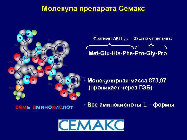 Молекула препарата Семакс Фрагмент АКТГ 4 -7 Защита от пептидаз Met-Glu-His-Phe-Pro-Gly-Pro • Молекулярная масса