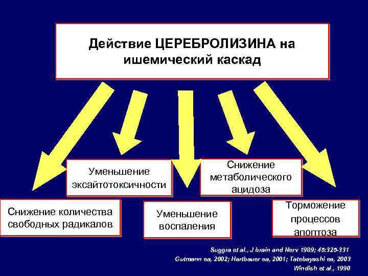 Действие ЦЕРЕБРОЛИЗИНА на ишемический каскад Уменьшение эксайтотоксичности Снижение количества свободных радикалов Снижение метаболического ацидоза