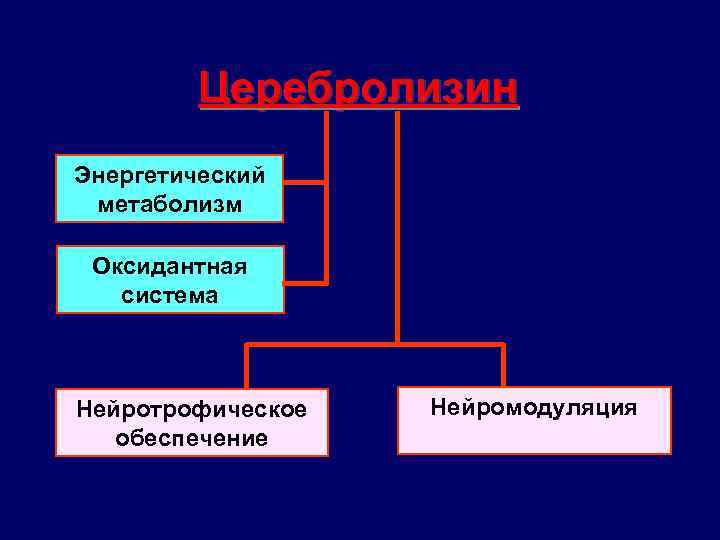 Церебролизин Энергетический метаболизм Оксидантная система Нейротрофическое обеспечение Нейромодуляция 