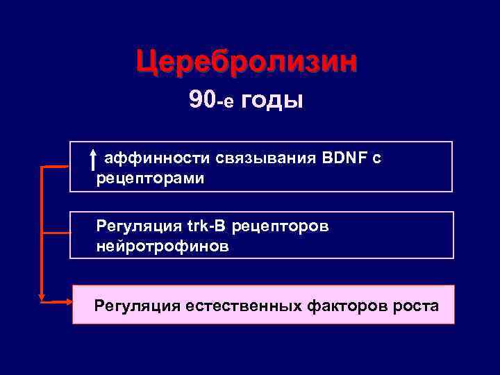 Церебролизин 90 -е годы аффинности связывания BDNF с рецепторами Регуляция trk-B рецепторов нейротрофинов Регуляция