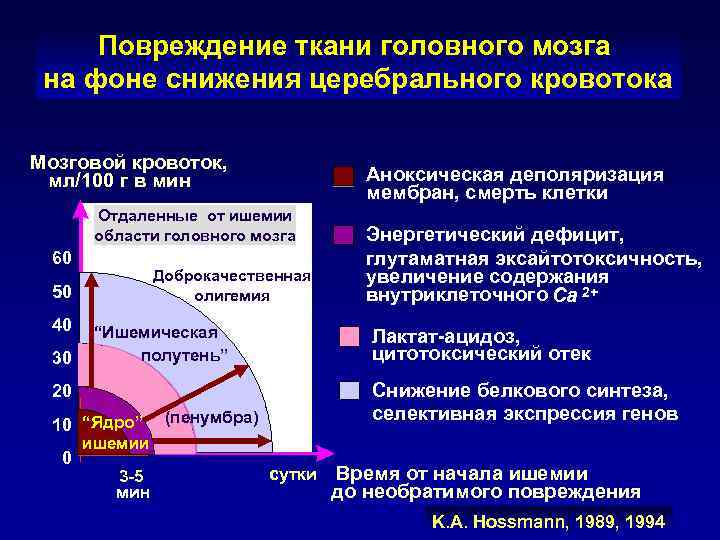 Повреждение ткани головного мозга на фоне снижения церебрального кровотока Мозговой кровоток, мл/100 г в