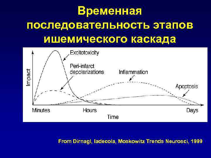 Временная последовательность этапов ишемического каскада From Dirnagl, Iadecola, Moskowitz Trends Neurosci, 1999 