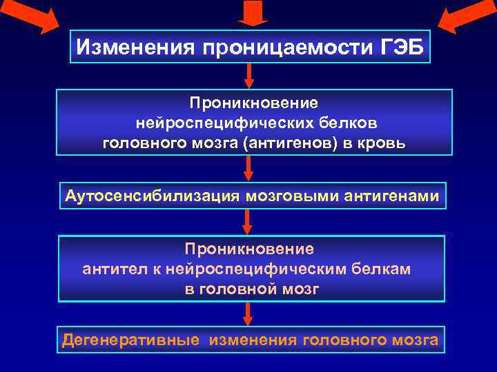 Изменения проницаемости ГЭБ Проникновение нейроспецифических белков головного мозга (антигенов) в кровь Аутосенсибилизация мозговыми антигенами