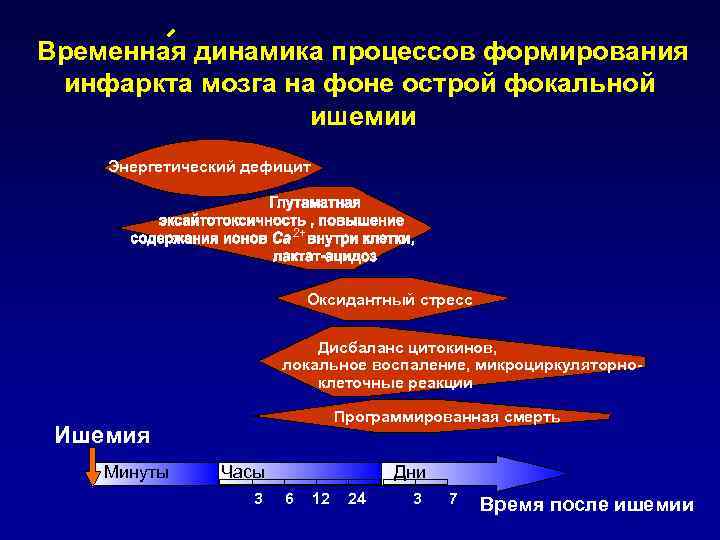 Временная динамика процессов формирования инфаркта мозга на фоне острой фокальной ишемии Энергетический дефицит 2+