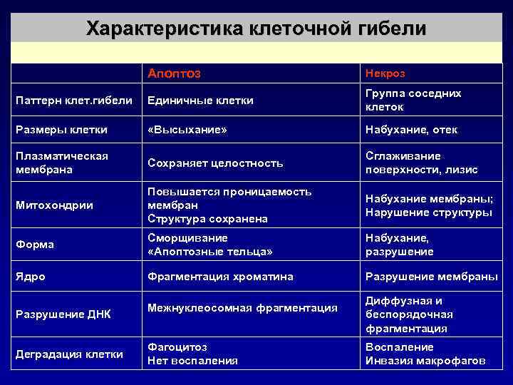 Отличие некроза от апоптоза. Сравнительная характеристика апоптоза и некроза таблица. Различия некроза и апоптоза таблица. Сходства и различия некроза и апоптоза.