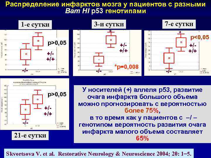 Распределение инфарктов мозга у пациентов с разными Bam HI p 53 генотипами 1 -е