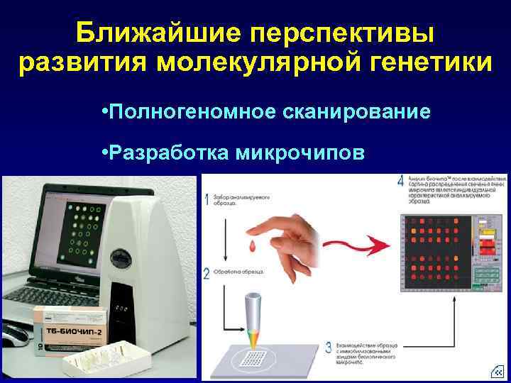 Ближайшие перспективы развития молекулярной генетики • Полногеномное сканирование • Разработка микрочипов 