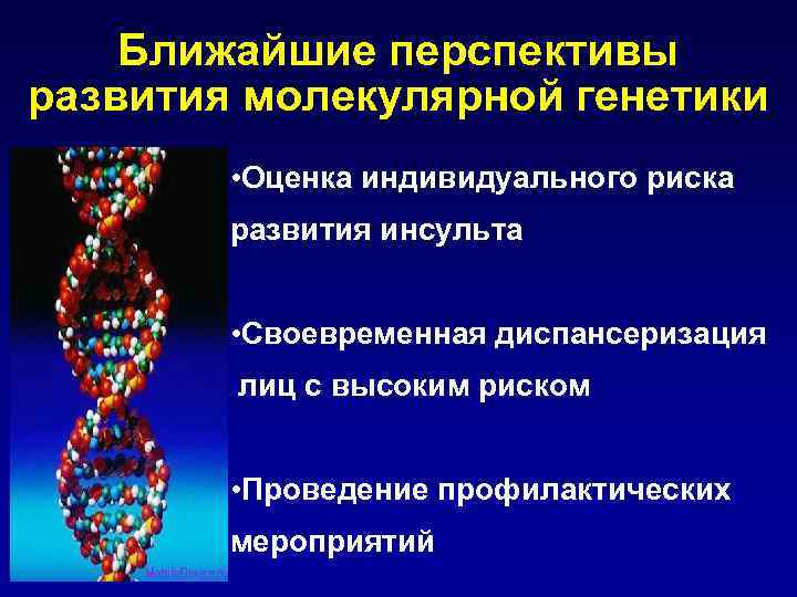 Ближайшие перспективы развития молекулярной генетики • Оценка индивидуального риска развития инсульта • Своевременная диспансеризация