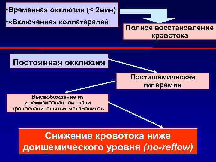  • Временная окклюзия (< 2 мин) • «Включение» коллатералей Полное восстановление кровотока Постоянная