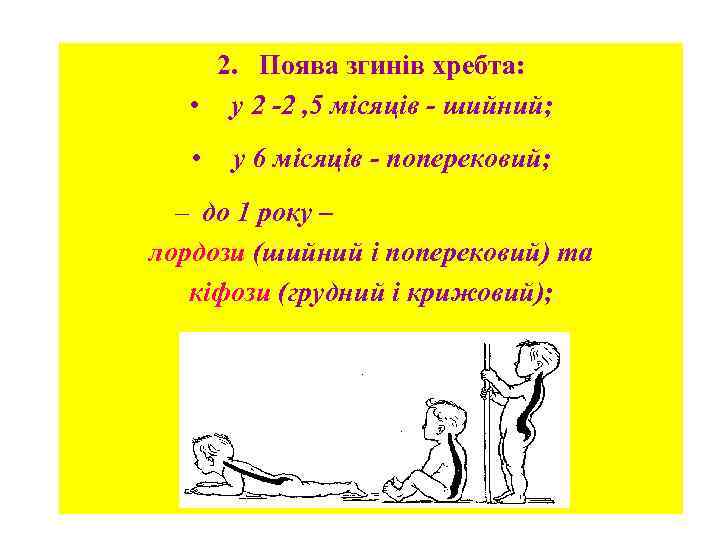 2. Поява згинів хребта: • у 2 -2 , 5 місяців - шийний; •