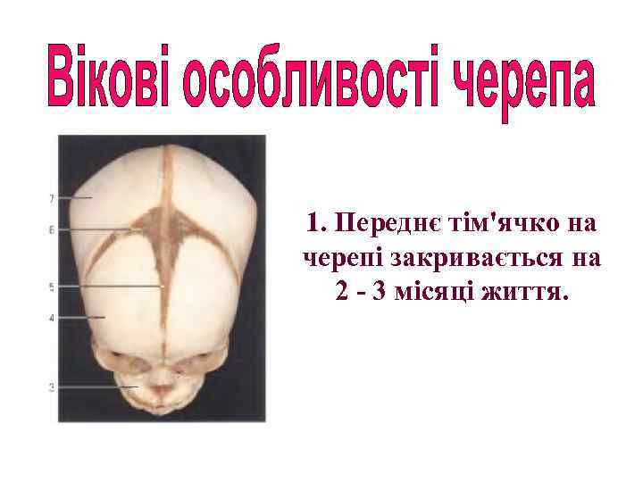 1. Переднє тім'ячко на черепі закривається на 2 - 3 місяці життя. 