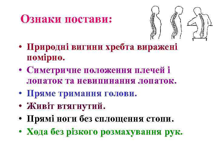 Ознаки постави: • Природні вигини хребта виражені помірно. • Симетричне положення плечей і лопаток