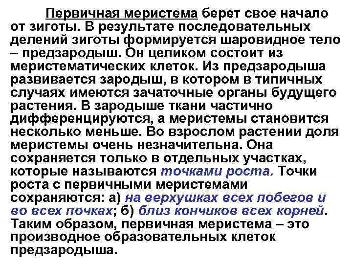 Первичная меристема берет свое начало от зиготы. В результате последовательных делений зиготы формируется шаровидное