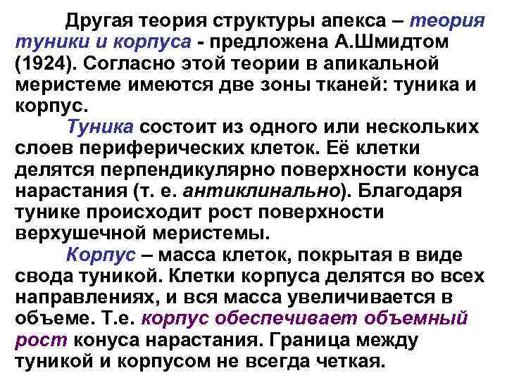 Другая теория структуры апекса – теория туники и корпуса - предложена А. Шмидтом (1924).