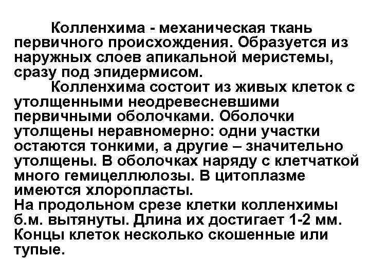 Колленхима - механическая ткань первичного происхождения. Образуется из наружных слоев апикальной меристемы, сразу под