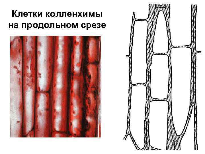 Механическая ткань фото