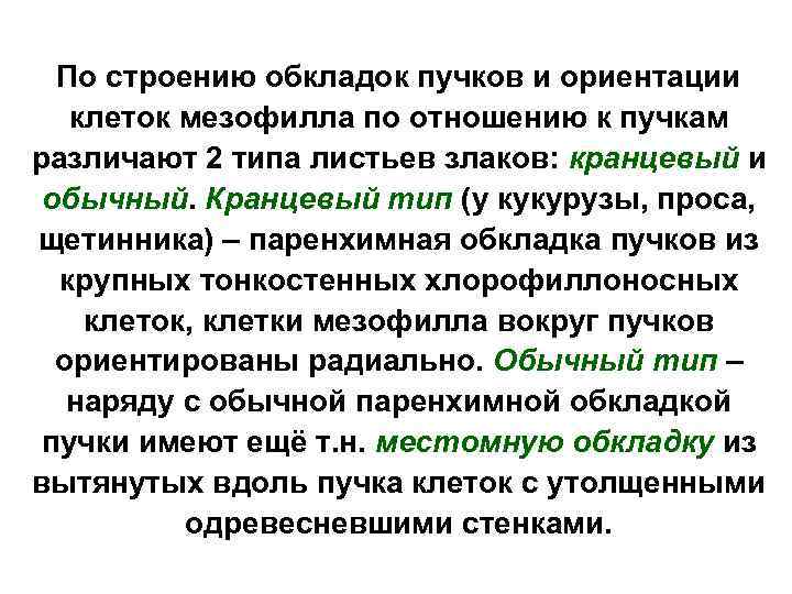 По строению обкладок пучков и ориентации клеток мезофилла по отношению к пучкам различают 2
