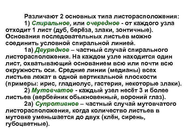 Различают 2 основных типа листорасположения: 1) Спиральное, или очередное - от каждого узла отходит