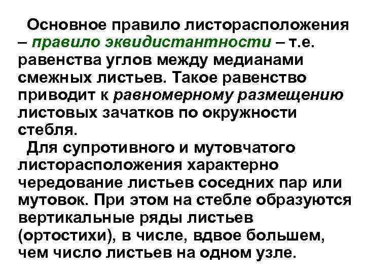 Основное правило листорасположения – правило эквидистантности – т. е. равенства углов между медианами смежных