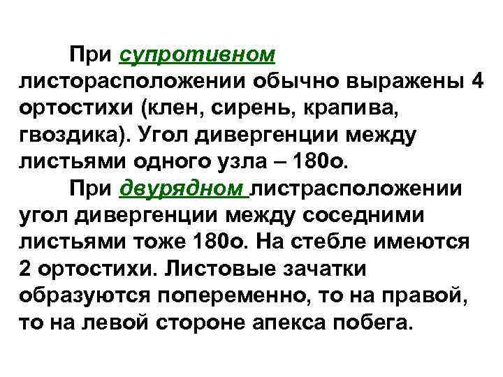 При супротивном листорасположении обычно выражены 4 ортостихи (клен, сирень, крапива, гвоздика). Угол дивергенции между