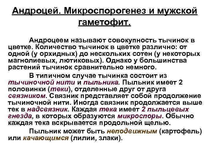 Андроцей. Микроспорогенез и мужской гаметофит. Андроцеем называют совокупность тычинок в цветке. Количество тычинок в