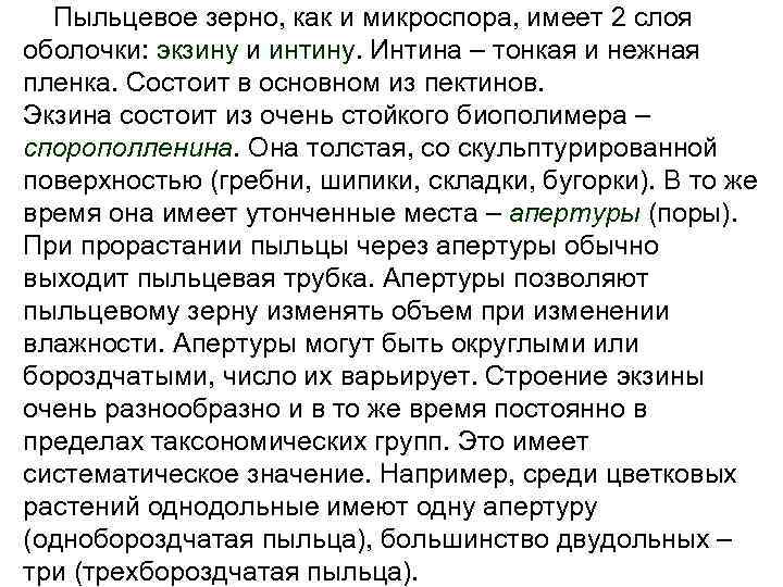 Пыльцевое зерно, как и микроспора, имеет 2 слоя оболочки: экзину и интину. Интина –