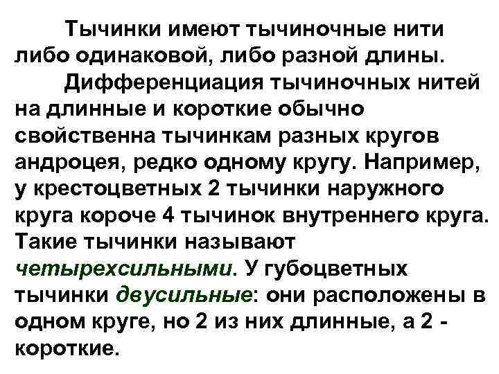 Тычинки имеют тычиночные нити либо одинаковой, либо разной длины. Дифференциация тычиночных нитей на длинные