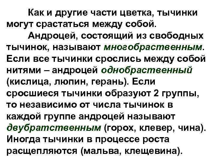 Как и другие части цветка, тычинки могут срастаться между собой. Андроцей, состоящий из свободных