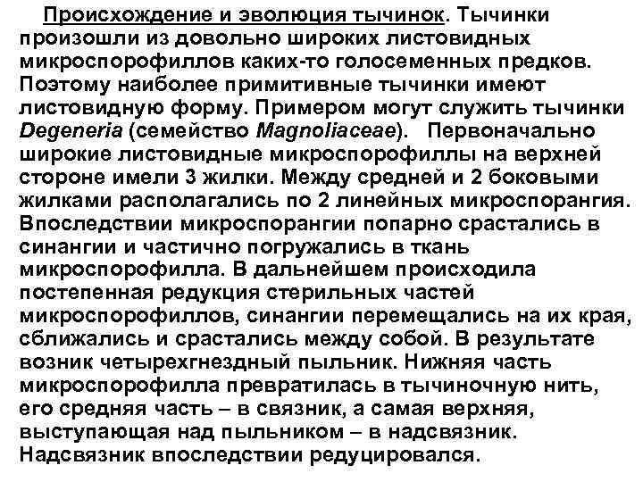 Происхождение и эволюция тычинок. Тычинки произошли из довольно широких листовидных микроспорофиллов каких-то голосеменных предков.