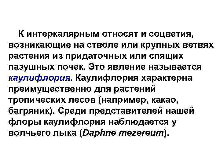 К интеркалярным относят и соцветия, возникающие на стволе или крупных ветвях растения из придаточных