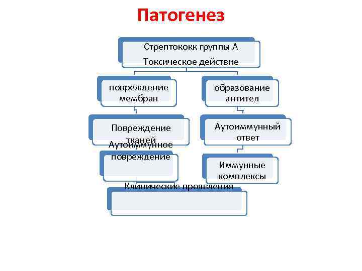 Ревматизм патогенез