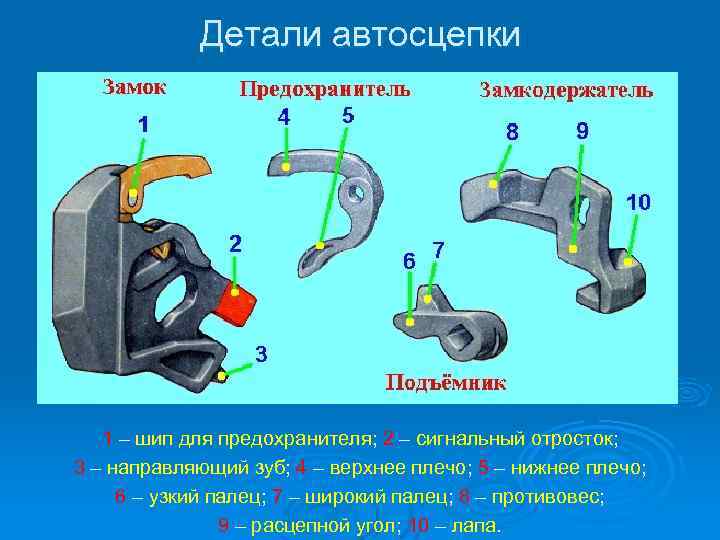 Детали автосцепки 1 – шип для предохранителя; 2 – сигнальный отросток; 3 – направляющий