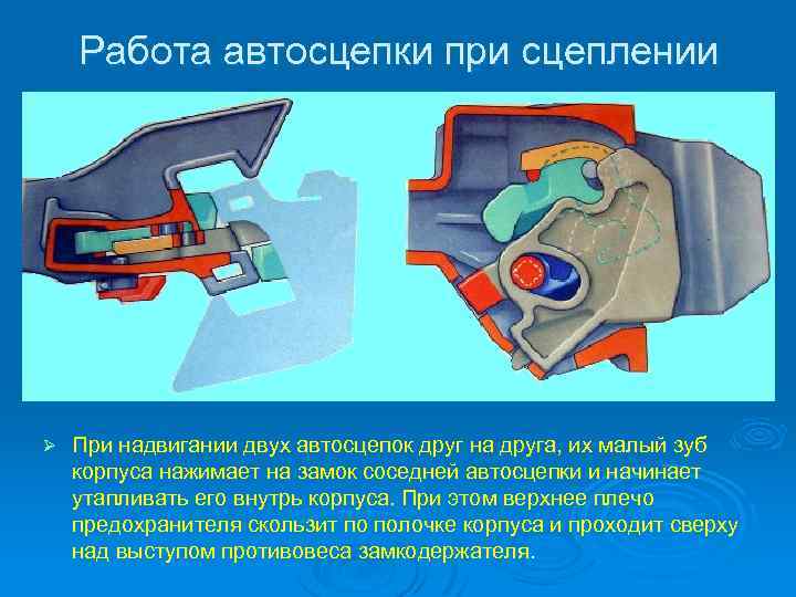 Работа автосцепки при сцеплении Ø При надвигании двух автосцепок друг на друга, их малый