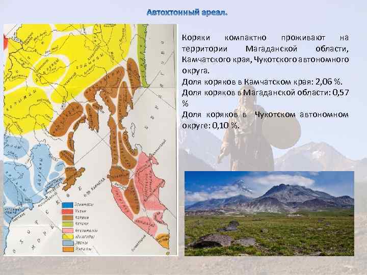 Коряки компактно проживают на территории Магаданской области, Камчатского края, Чукотского автономного округа. Доля коряков