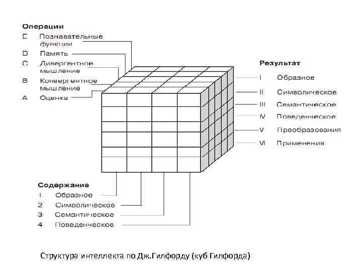 Структура интеллекта