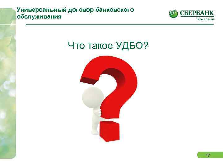 Универсальный договор банковского обслуживания Что такое УДБО? 17 