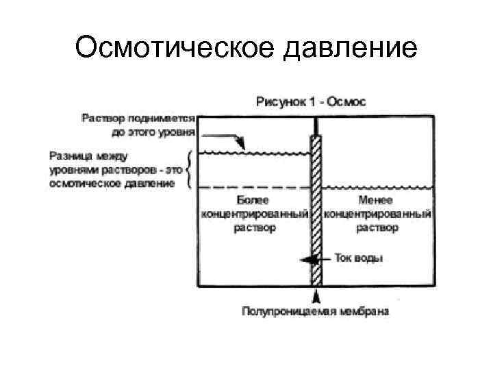 Осмотическое давление 